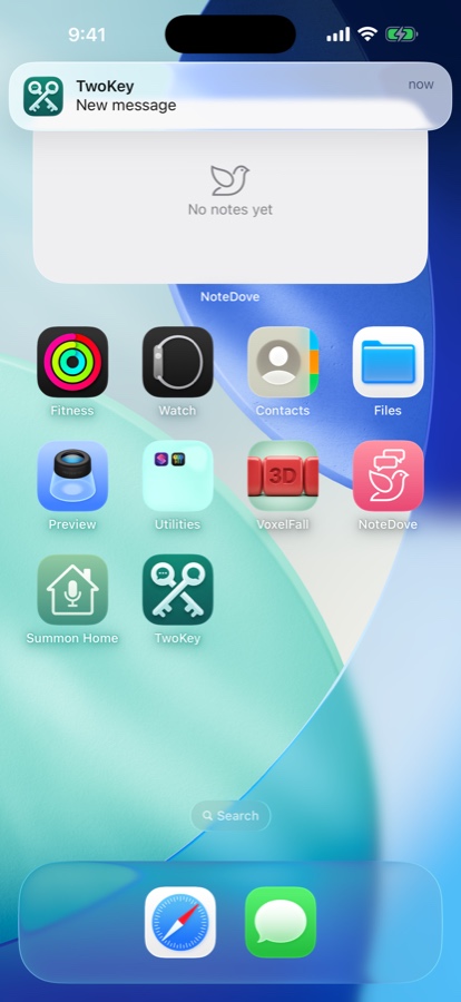 An iPhone notification banner from TwoKey reading simply &ldquo;New message&rdquo;, naming no sender